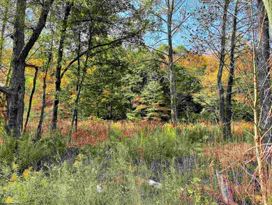 Lot 1 Blizzards Gate Rd, Harman, WV 26270 - photo 5