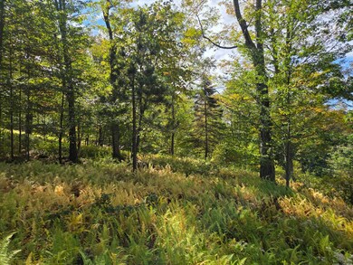 4 Stone Hollow Rd, Fleischmanns, NY 12430 - photo 7