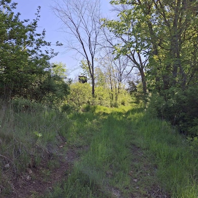 40 Acre unit Walnut Lane, Richland Center, WI 53581 - photo 3