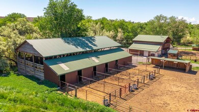 10341 Tongue Creek Rd, Austin, CO 81410 - photo 5