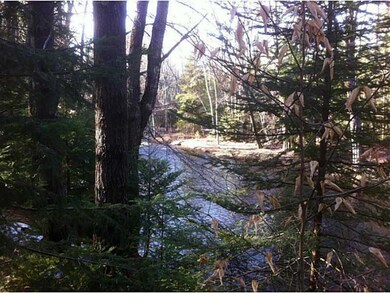 Land/Lot. River Picture