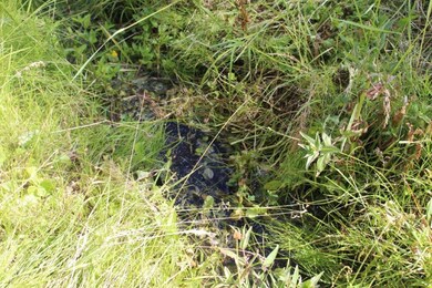 0 Corral Gulch Rd unit 220104153, Canyon City, OR 97820 - photo 3