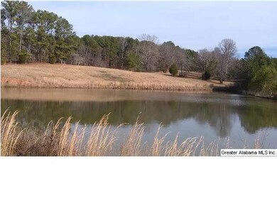 1051 County Road 286 unit 23, Roanoke, AL 36274 - photo 4