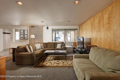 1501 Maroon Creek Rd unit 5, Aspen, CO 81611 - photo 5
