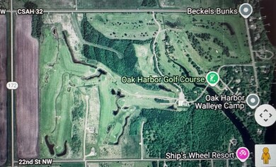 TBD 24th St NW, Baudette, MN 56623 - photo 5