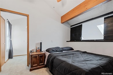 1301 S Cathay Ct unit 202, Aurora, CO 80017 - photo 7