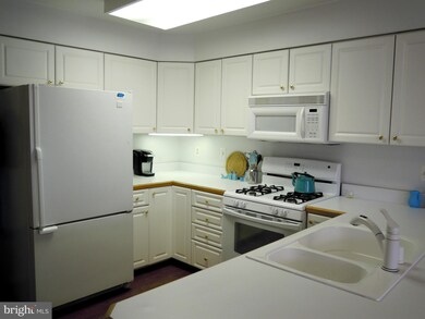 12310 Rosslare Ridge Rd unit 104, Lutherville Timonium, MD 21093 - photo 6