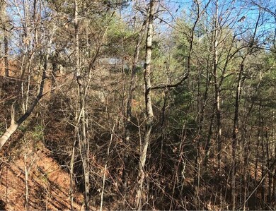 0 Saturn Way unit 26041777, Topton, NC 28781 - photo 4