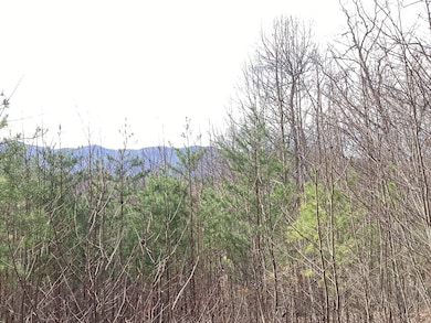 374 Taylor Way, Hiawassee, GA 30546 - photo 4