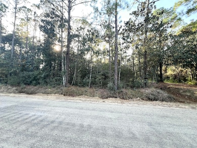 Lots 1,2,3 13th St, Santa Rosa Beach, FL 32459 - photo 2