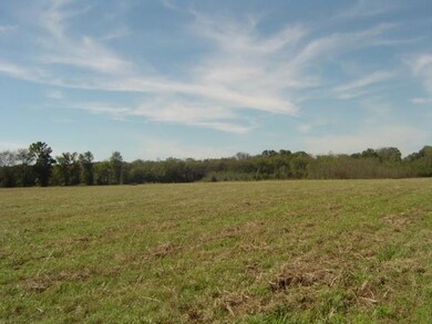 0 Philpot Rd unit 1874190, Bell Buckle, TN 37020 - photo 5