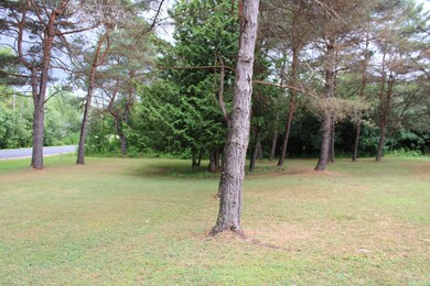 382 Fournier Rd, West Chazy, NY 12992 - photo 5