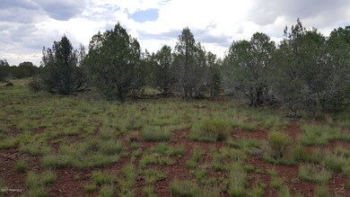 209 Abandoned Trail, Ash Fork, AZ 86320 - photo 5