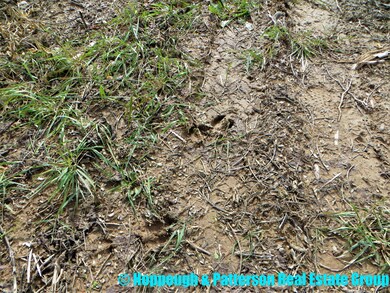 V/L N Jefferson St, Ionia, MI 48846 - photo 5