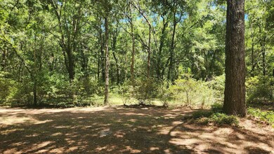 164 Glover Ln, Crawfordville, FL 32327 - photo 3