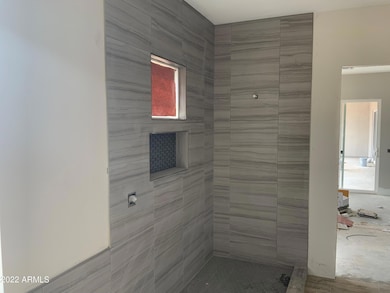 10 street Master Bath Shower