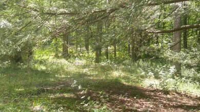 20170713_113224_HDR_resized