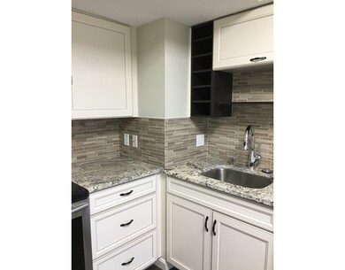 250 Hammond St unit 713S, Chestnut Hill, MA 02467 - photo 2