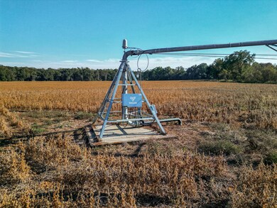 County Road 168, Morgan, GA 39866 - photo 6