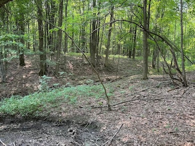 0 Allen Rd unit 24370349, Sardinia, NY 14055 - photo 6