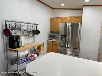 110 Floyd Rd, Carbondale, CO 81623 - photo 4