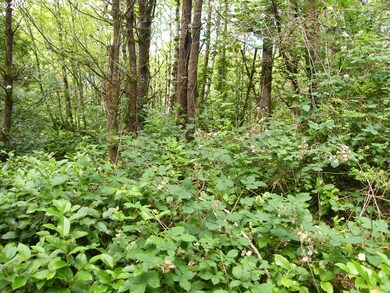 3273 SE Fleet Ave, Lincoln City, OR 97367 - photo 6