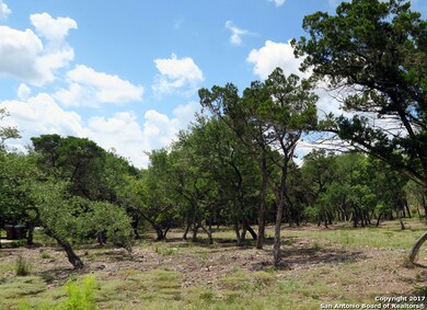 20711 Blue Quail Run, San Antonio, TX 78256 - photo 4