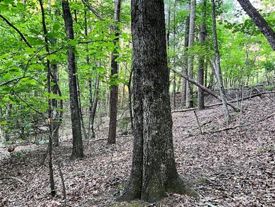 000 Hawks Terrace, Lake Lure, NC 28746 - photo 7