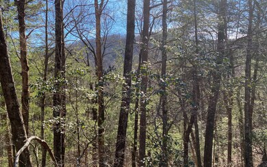 Additional View