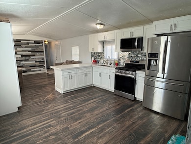 Kitchen with stainless steel appliances, white cabinets, a peninsula, open floor plan, and dark wood-type flooring