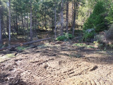 1196 Doe Rd, Rail Road Flat, CA 95245 - photo 7