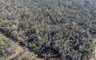 0 Lot 29 188th Trail, Live Oak, FL 32060 - photo 7