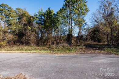 7 Wilson Ave, Great Falls, SC 29055 - photo 6