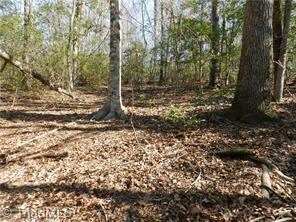 00 Nc Highway 134, Asheboro, NC 27205 - photo 5