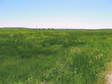 0 Gobbler Ln unit Lot 56 Gobbler Ln. R, Smithwick, SD 57782 - photo 6