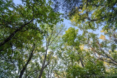 00168 N4400, Webbers Falls, OK 74470 - photo 6