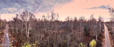 11360 E Fox Trail, Trapper Creek, AK 99683 - photo 3