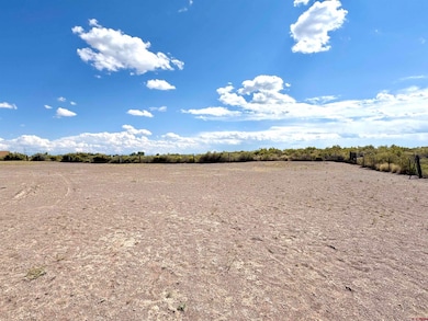 8260 W 8th St, Alamosa, CO 81101 - photo 7