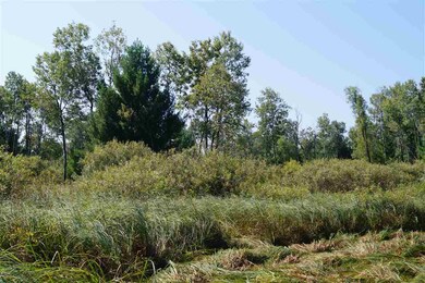 40 Ac County Road C, Orange, WI 54618 - photo 2