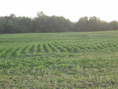 N1856 W Indies Rd, Browntown, WI 53522 - photo 5