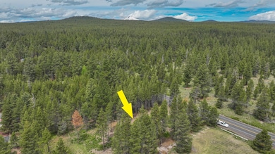 17133 Spring River Rd, Bend, OR 97707 - photo 2