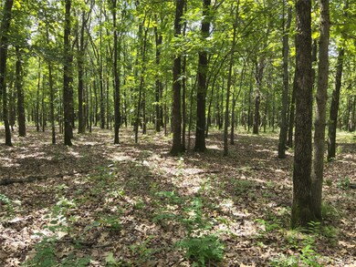 0 310 Rd unit 2547951, Chelsea, OK 74016 - photo 6