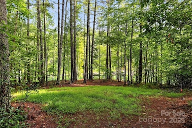 2361 Lake Forest Cove unit 13, Nebo, NC 28761 - photo 5