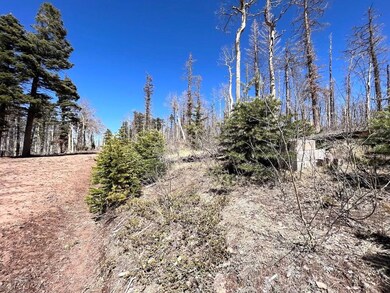 0 Colorado 159 unit 25675165, Fort Garland, CO - photo 4