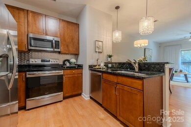 630 Calvert St unit 1110, Charlotte, NC 28208 - photo 5