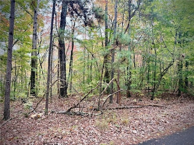 551 Harvey Fields Rd, Canton, GA 30114 - photo 7