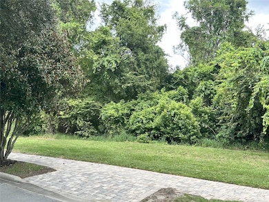 17127 Etruscan Ln, Bella Collina, FL 34756 - photo 6