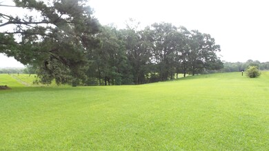 441 Welch Rd, Laurel, MS 39443 - photo 6