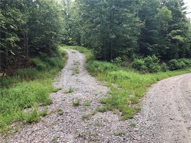 Lot 233 Deer Run, Purlear, NC 28665 - photo 2