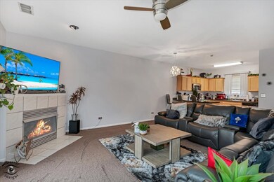 5238 Stoneridge Ct, Matteson, IL 60443 - photo 4